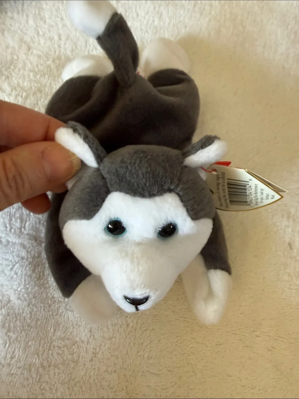 6 Vintage Ty Dog Beanie Babies w Tags MWMT
